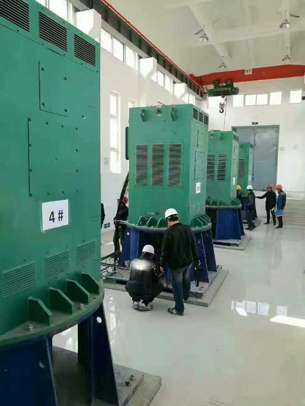 淮滨某污水处理厂使用我厂的立式高压电机安装现场报价