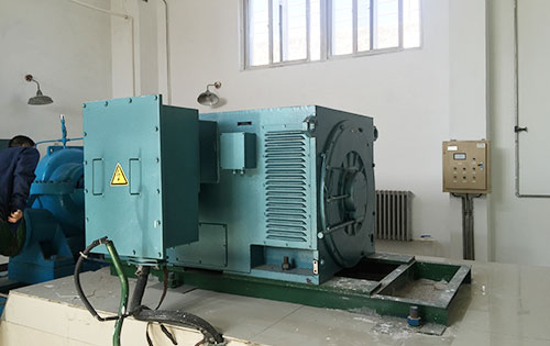 淮滨某水电站工程主水泵使用我公司高压电机